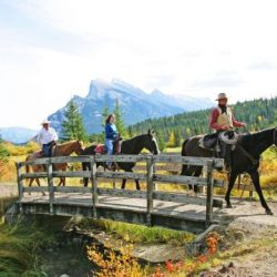 horseback-ride-bow-river-ride