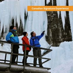Johnston Canyon Banff Tours