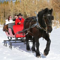 Banff sleigh-ride-for-2
