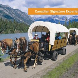 Banff Tours Horseback