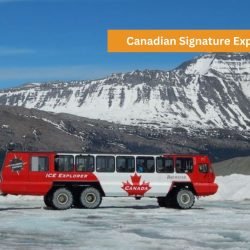 Columbia Icefields Tour Alberta