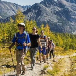 Guided hikes in Banff National Park