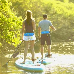 Stand Up Paddleboar SUP Edmonton