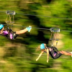 SuperFly Ziplines Whistler