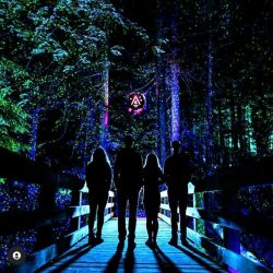 Vallea Lumina Whistler