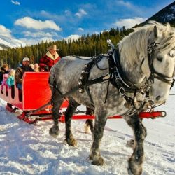 Banff Sleigh Ride