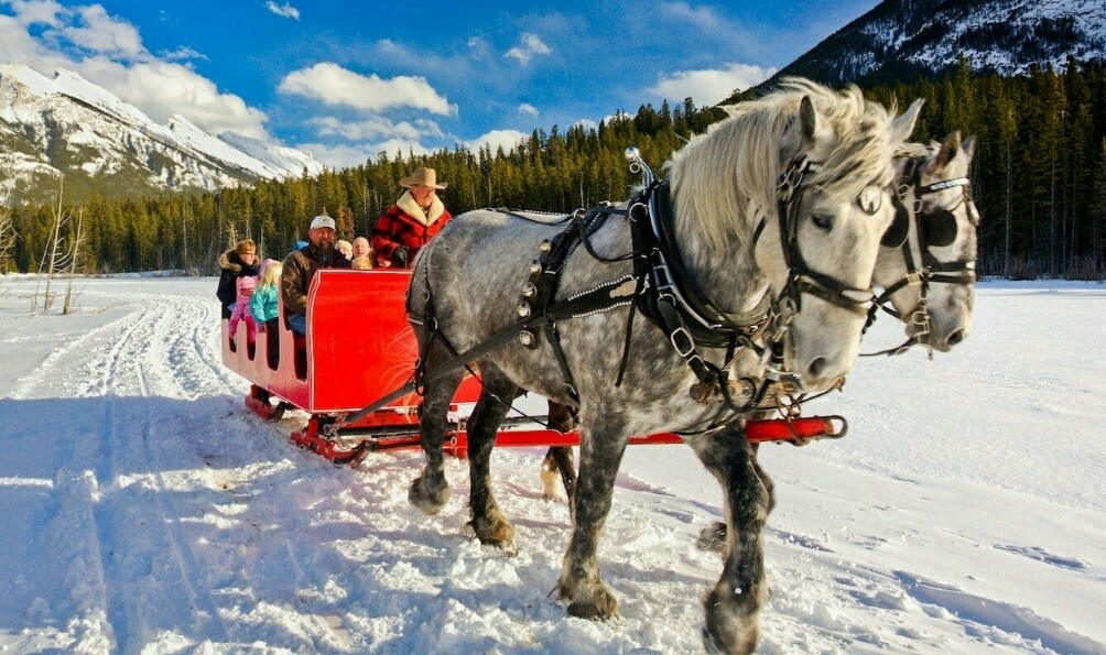 Banff Sleigh Ride