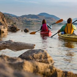 Penticton Kayak Tour