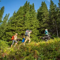 Kananaskis Hike Coal Mine
