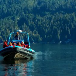 Bowen Island Boat and Dinner Tour