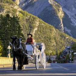 Banff Private Carriage Ride