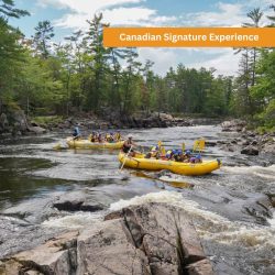 White Water Rafting Ottawa River