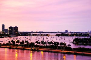 Guided Miami Night Tour