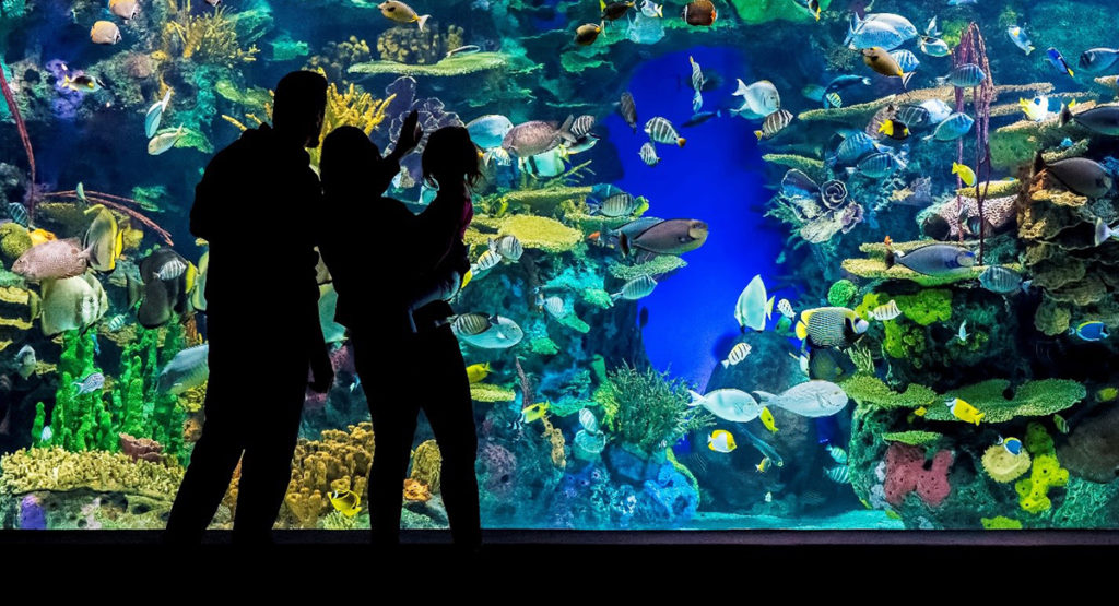 Ripley's Aquarium Toronto