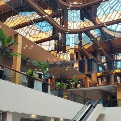 Things to do in Edmonton