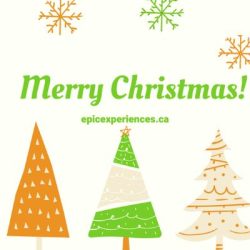 Christmas Gift Cards